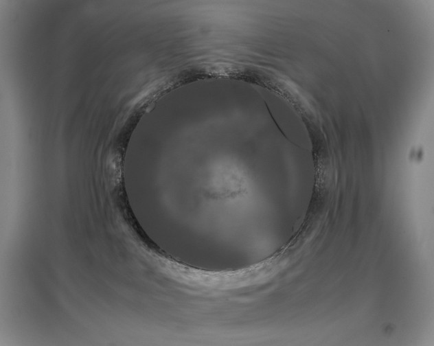 X0000097500043200802221454