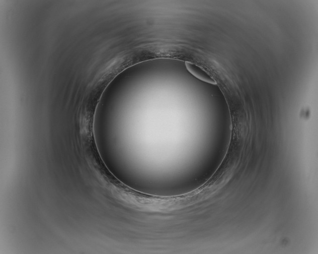 X0000097500044200802221454