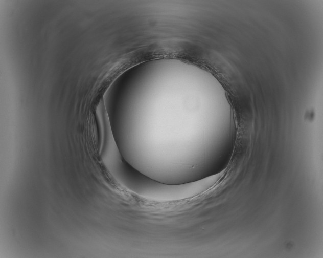 X0000097500045200802221454