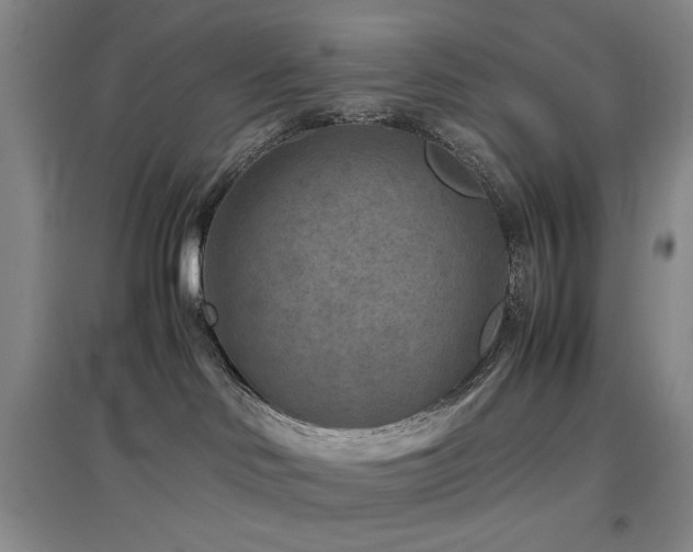 X0000097500046200802221454