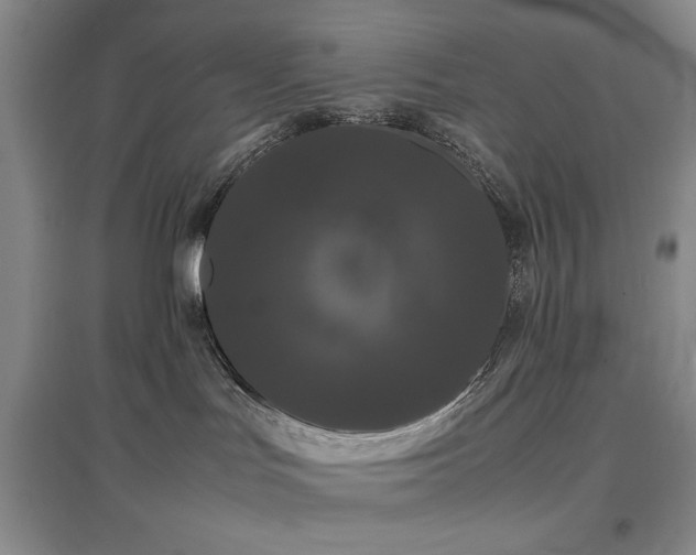 X0000097500047200802221454