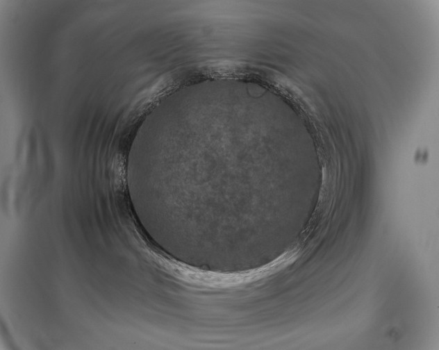 X0000097500048200802221454