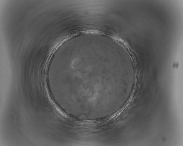 X0000097500049200802221453