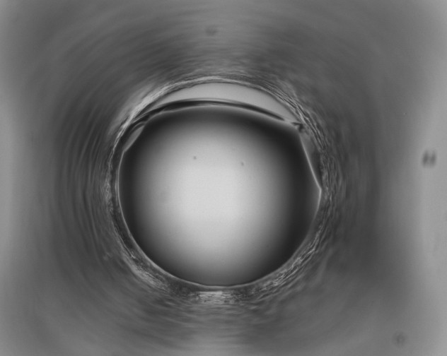 X0000097500050200802221453