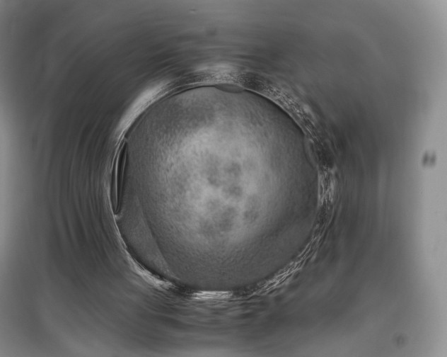 X0000097500051200802221453