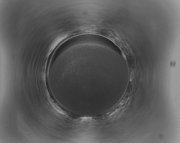 X0000097500052200802221453