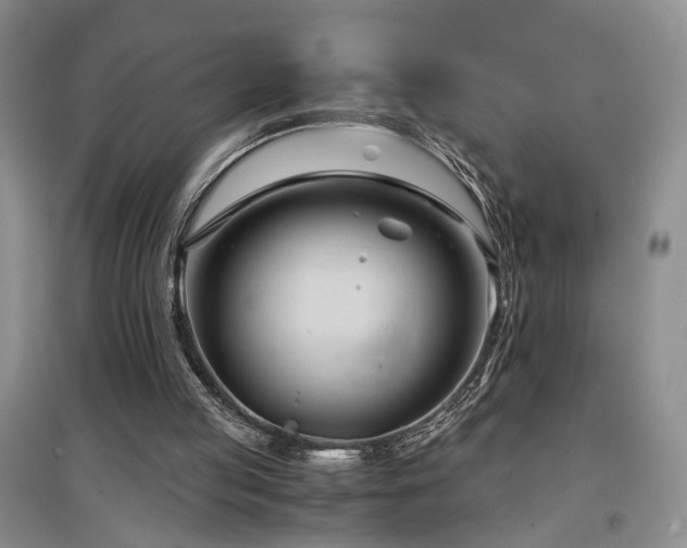 X0000097500053200802221453