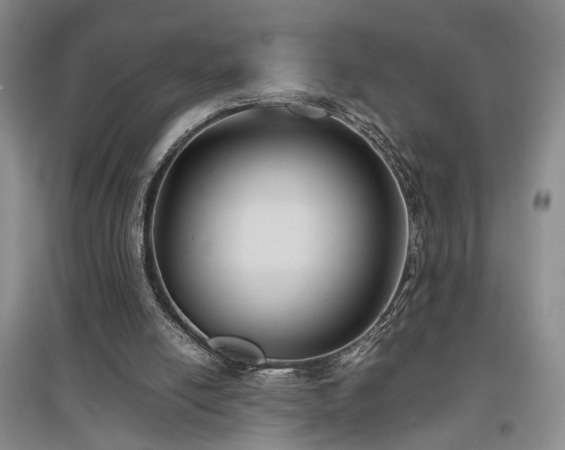 X0000097500054200802221453