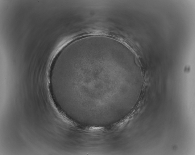 X0000097500055200802221453