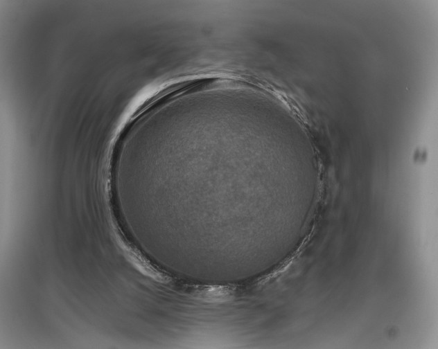 X0000097500056200802221453