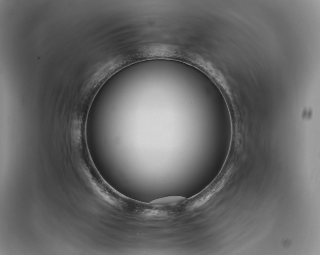 X0000097500057200802221453