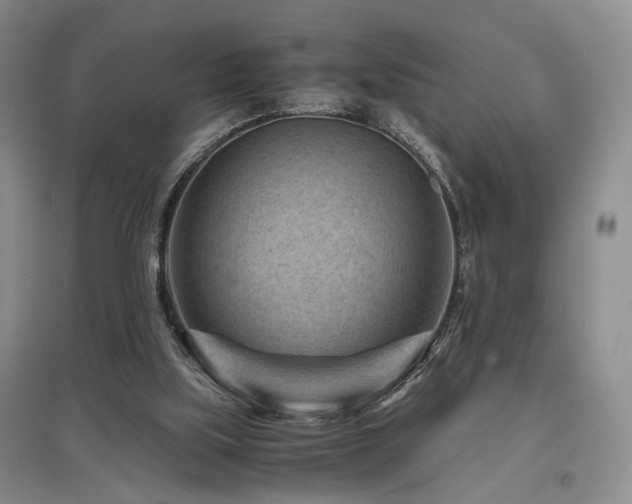 X0000097500059200802221453