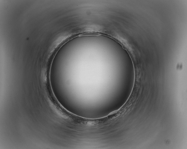 X0000097500060200802221454
