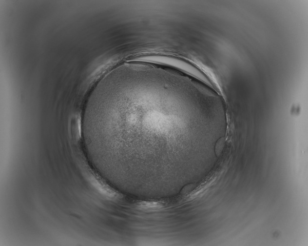 X0000097500061200802221454