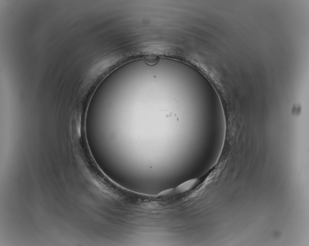 X0000097500062200802221454