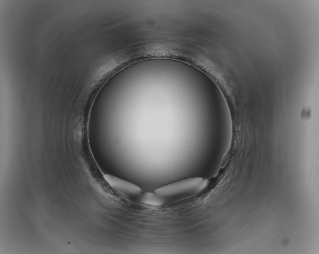 X0000097500063200802221454