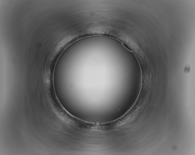 X0000097500064200802221454
