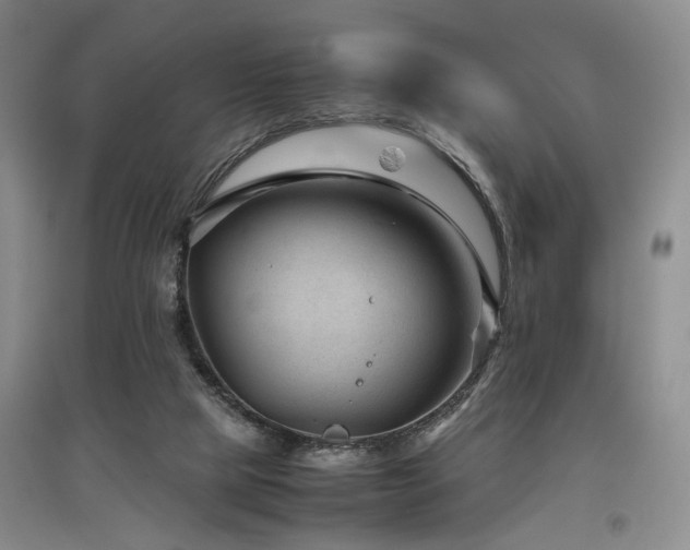 X0000097500065200802221454