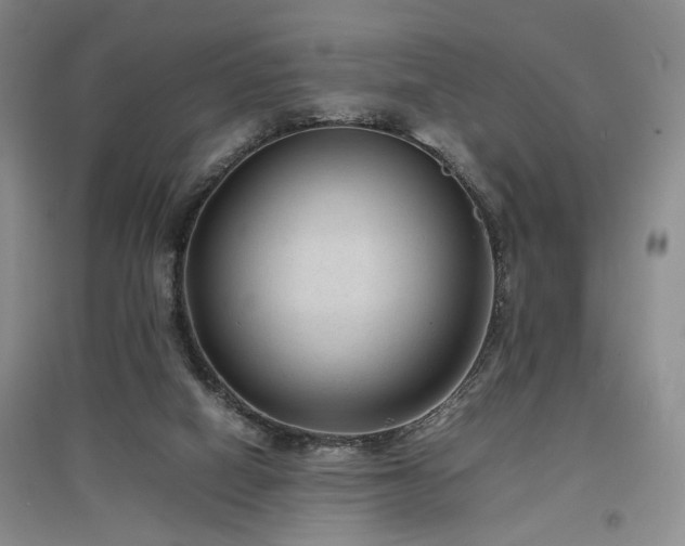 X0000097500066200802221454