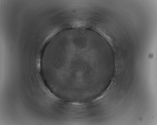 X0000097500067200802221454