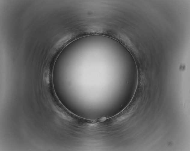 X0000097500068200802221454