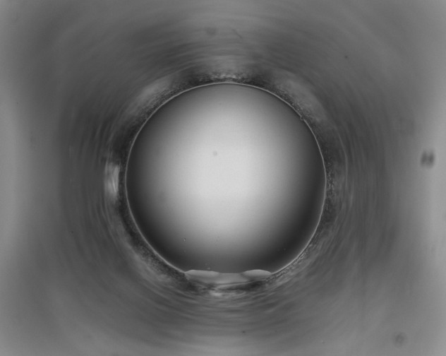 X0000097500070200802221454
