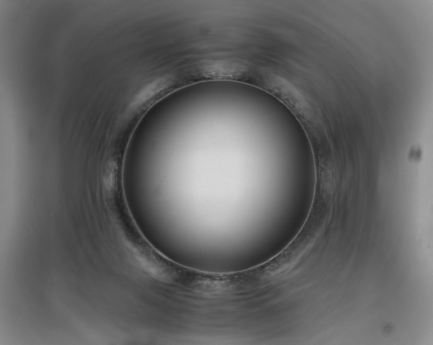 X0000097500071200802221454