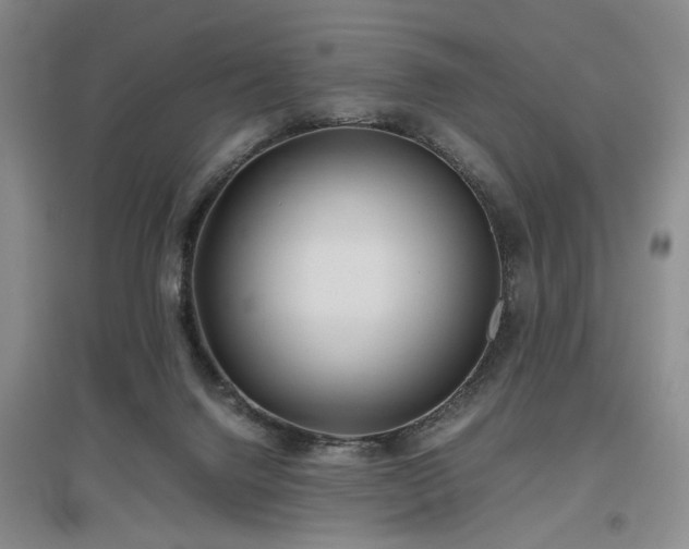 X0000097500072200802221454