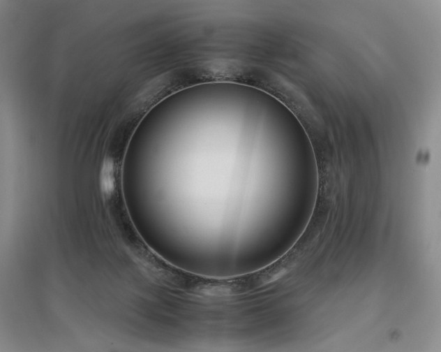 X0000097500075200802221454