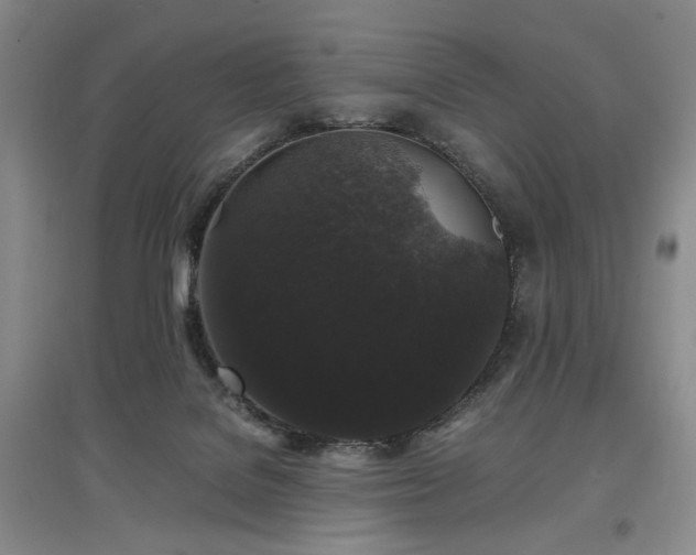 X0000097500076200802221454