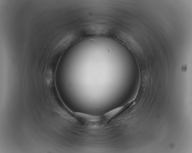 X0000097500077200802221454