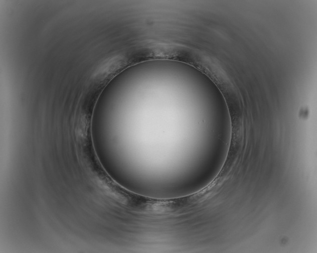X0000097500078200802221454