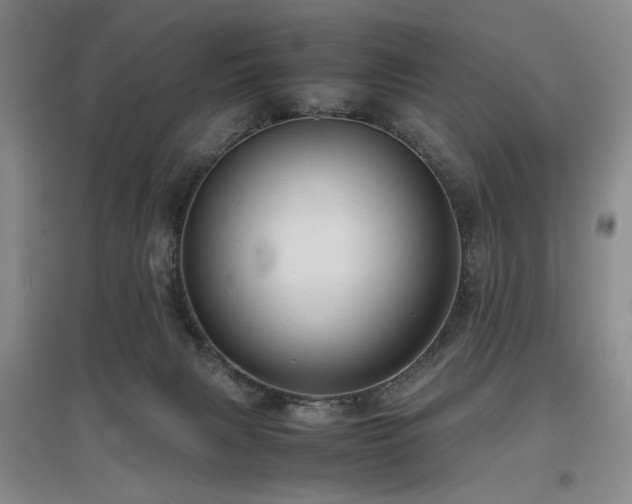 X0000097500079200802221454