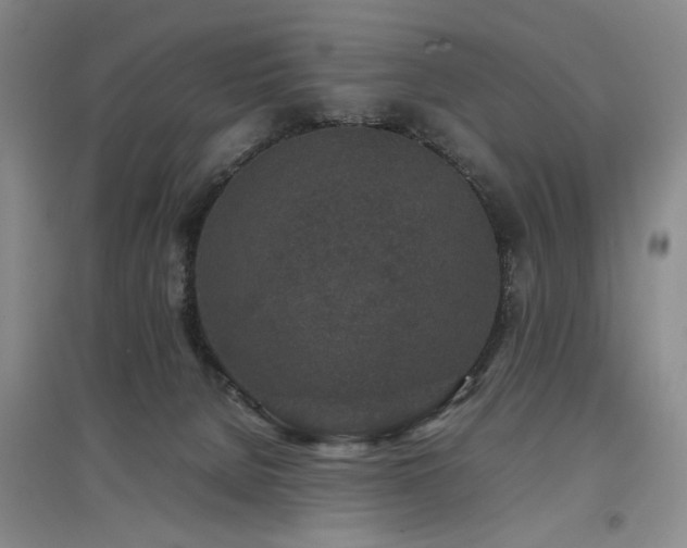 X0000097500080200802221454