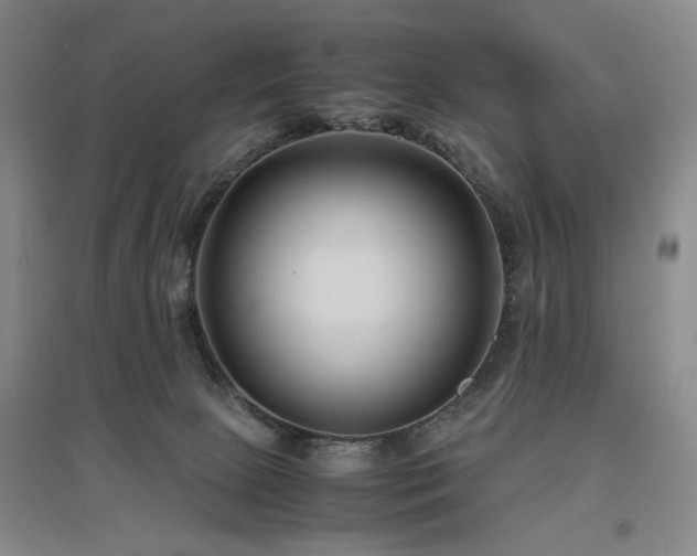 X0000097500081200802221454