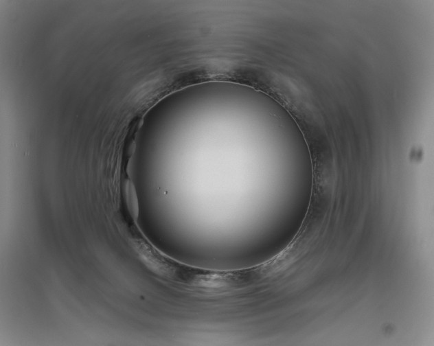 X0000097500082200802221454