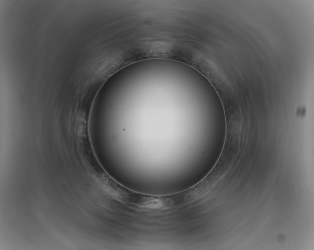 X0000097500083200802221454