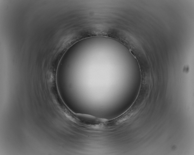 X0000097500084200802221454