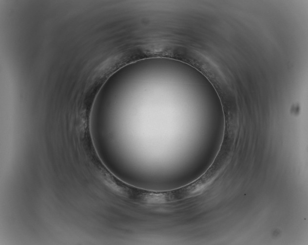 X0000097500085200802221454