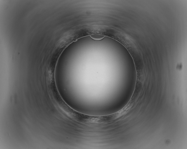X0000097500086200802221454