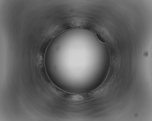 X0000097500087200802221454