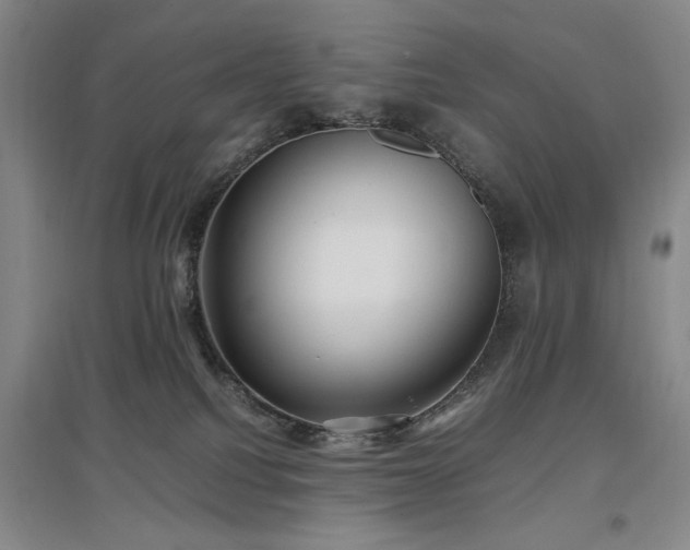 X0000097500088200802221454