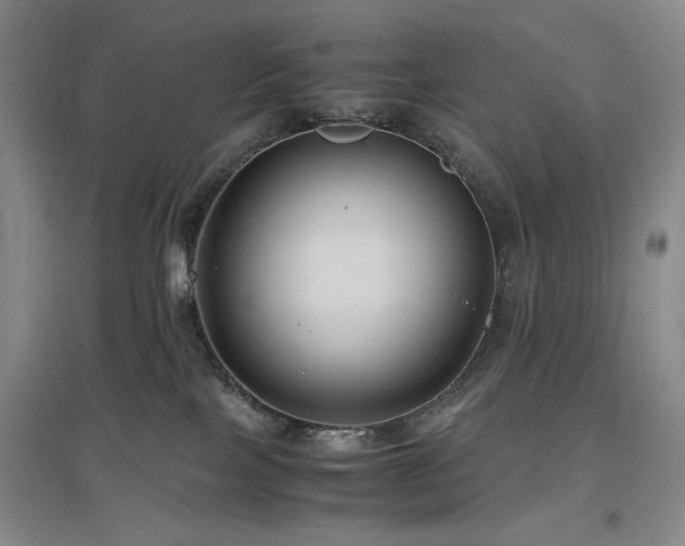 X0000097500089200802221454