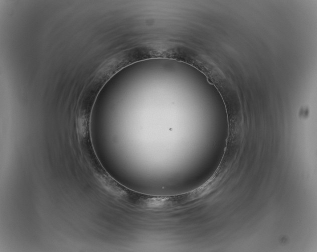 X0000097500090200802221454