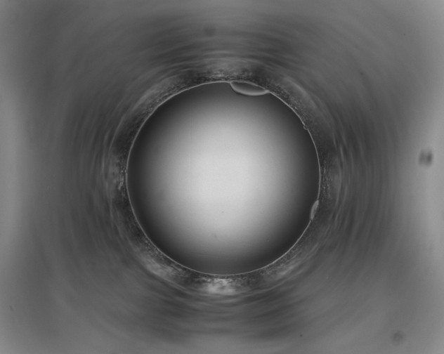 X0000097500091200802221454