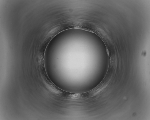 X0000097500092200802221454