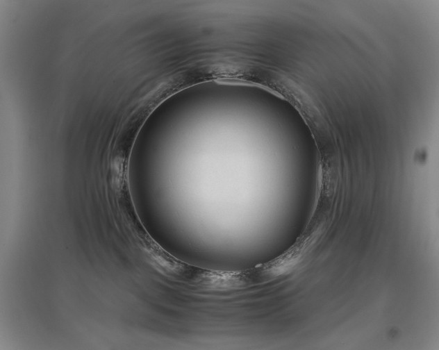 X0000097500093200802221454