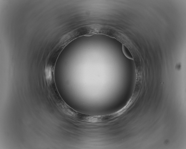 X0000097500094200802221454