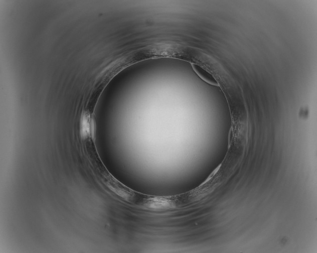 X0000097500095200802221454