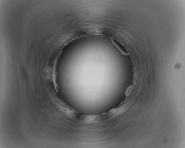 X0000097500096200802221454